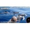 Royal Delfin (2 Hours)